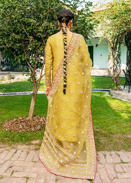 Golden Raw Silk Salwar Kameez for Indian Wedding Wear