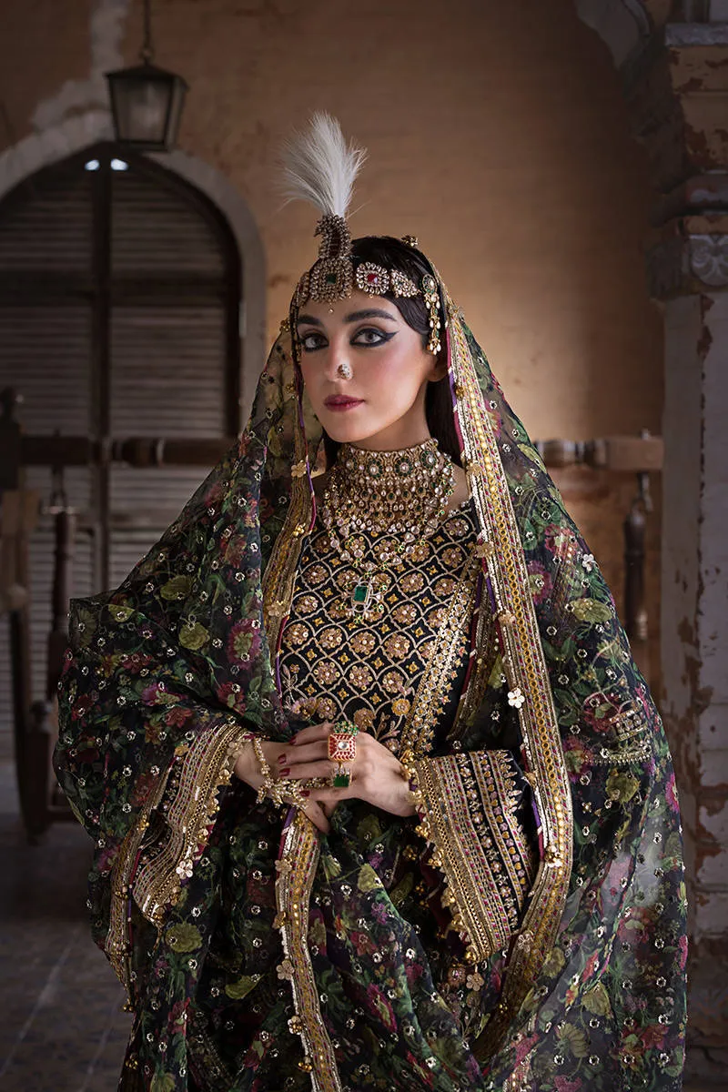 MOHSIN NAVEED RANJHA | FESTIVE VOL. IV | Koyal