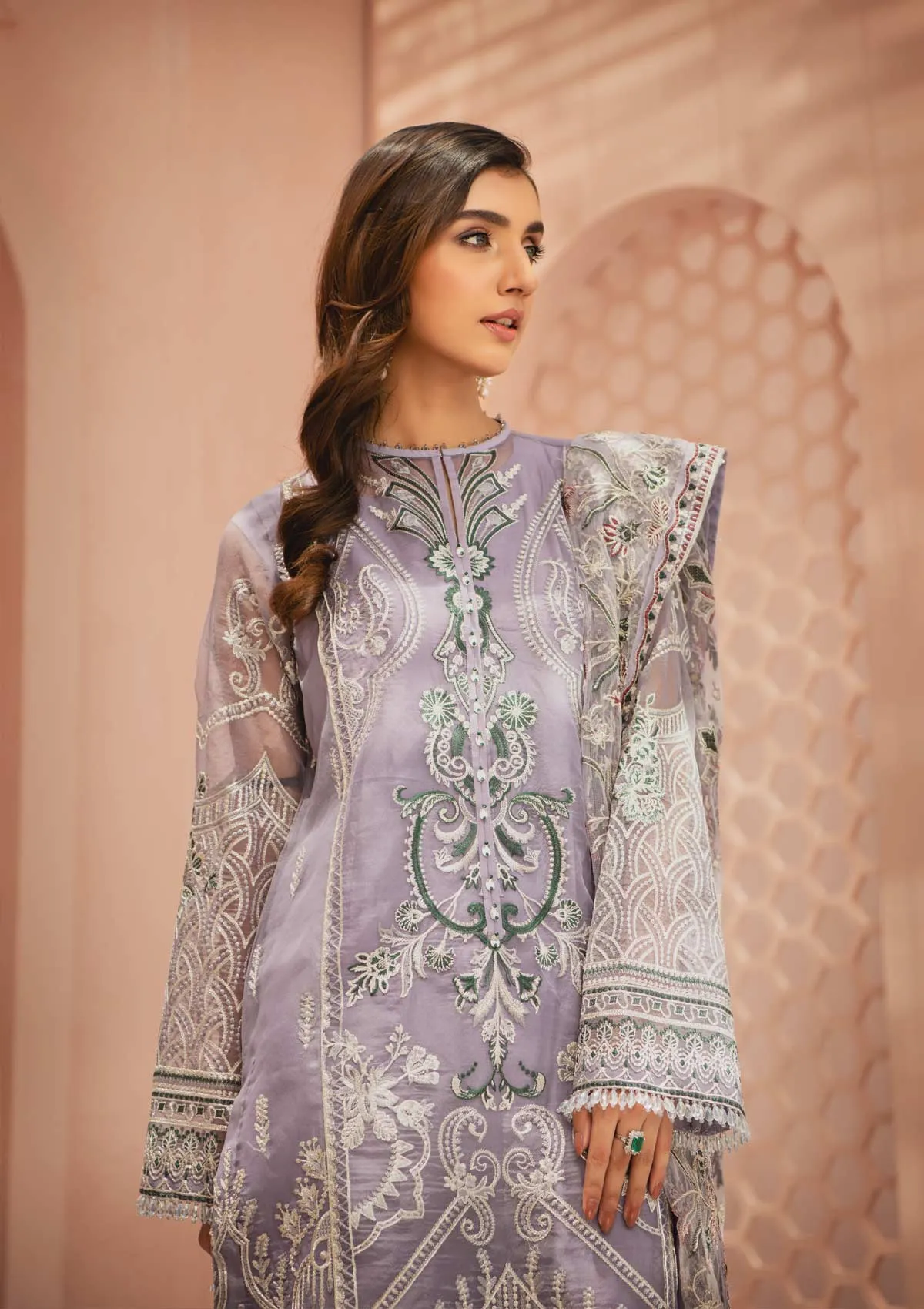 MYSTIQUE - LOOK 05 | AIK Atelier Festive Mystique Organza & Tule 2021 Collection | Unstitched Embroidered Organza Suits