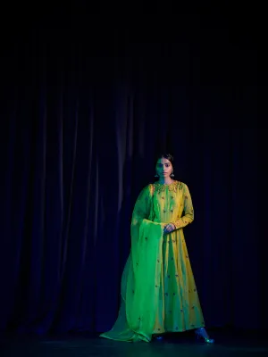 Shikha Mehta Elizabeth Lime Zarina Lehenga Set Silk Chanderi  Silk Organza Lime The Other Me Sm-Aw-015
