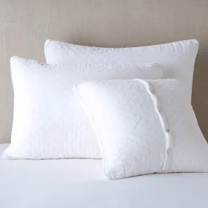 Silk Velvet Quilted Sham