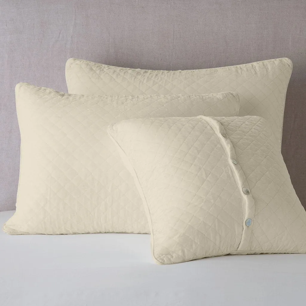 Silk Velvet Quilted Sham