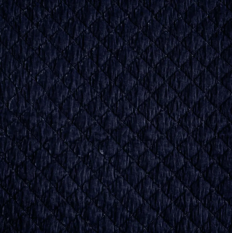 Silk Velvet Quilted Sham