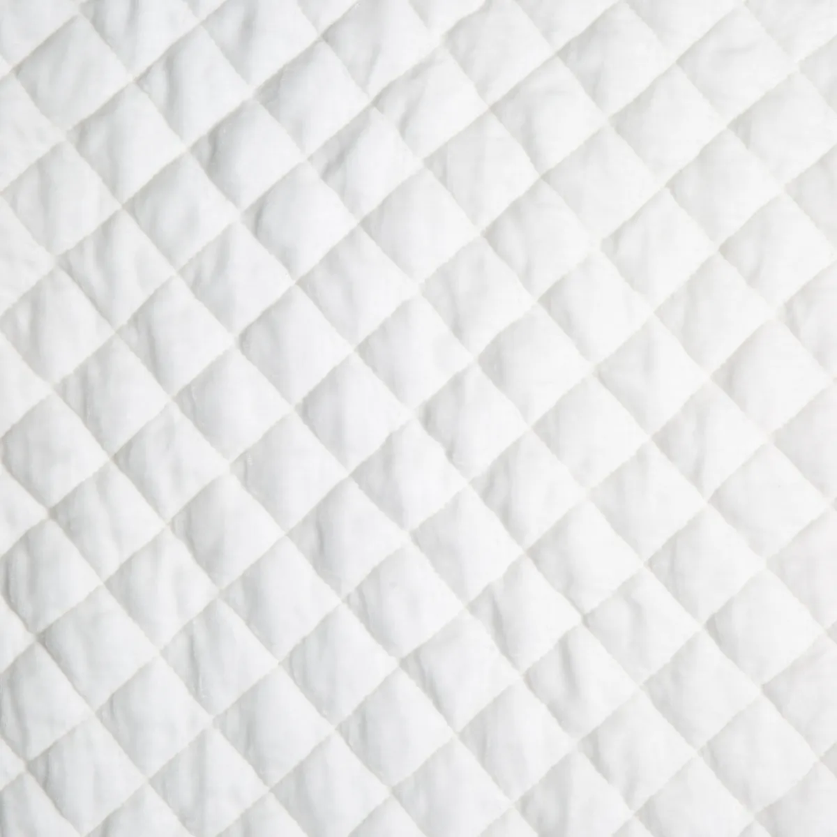 Silk Velvet Quilted Swatch