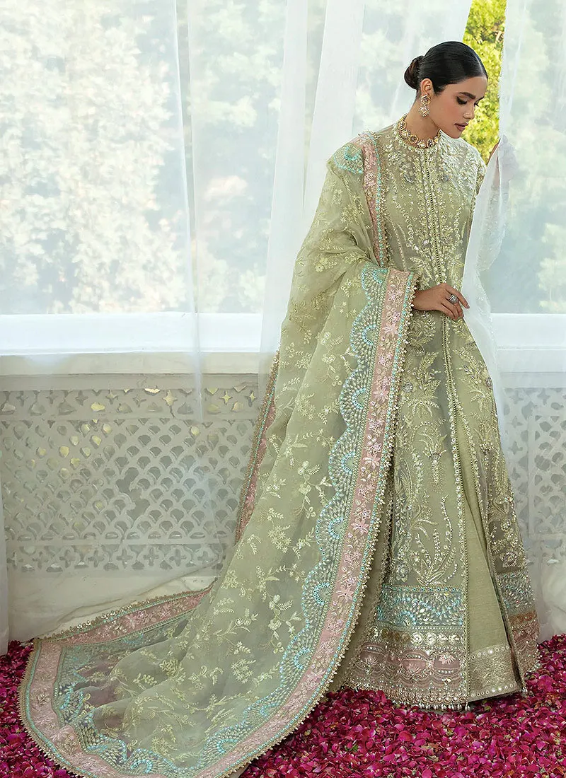 SORAYA PK Wedding 2023 | Lumene – Aster  (Sol-05)