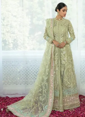 SORAYA PK Wedding 2023 | Lumene – Aster  (Sol-05)