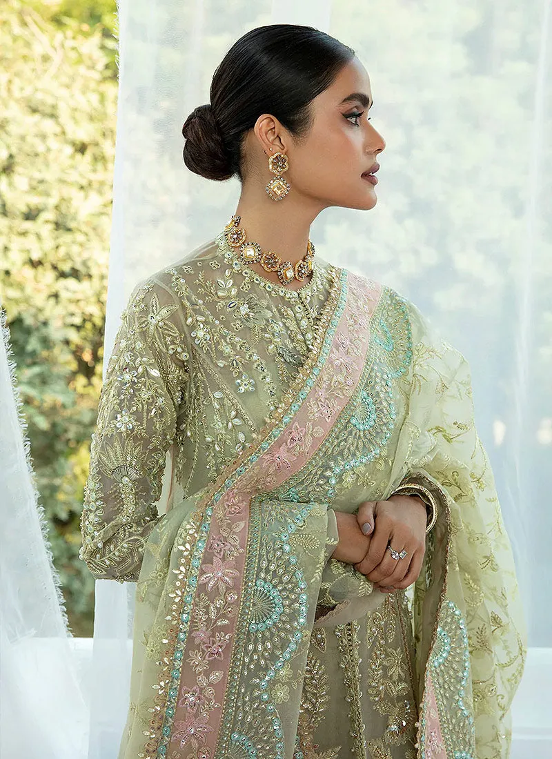 SORAYA PK Wedding 2023 | Lumene – Aster  (Sol-05)